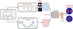 High-resolution conductivity reconstruction by electrical impedance tomography using structure-aware hybrid-fusion learning